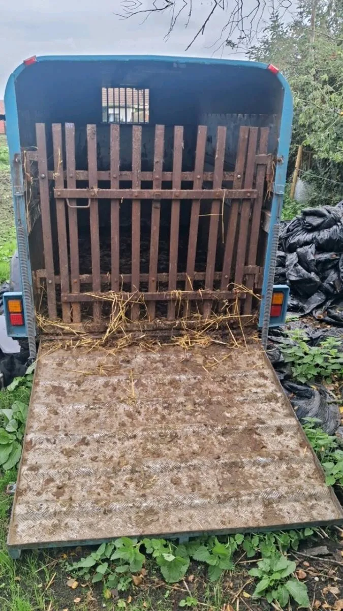 10x5 Cattle Trailer - Image 3