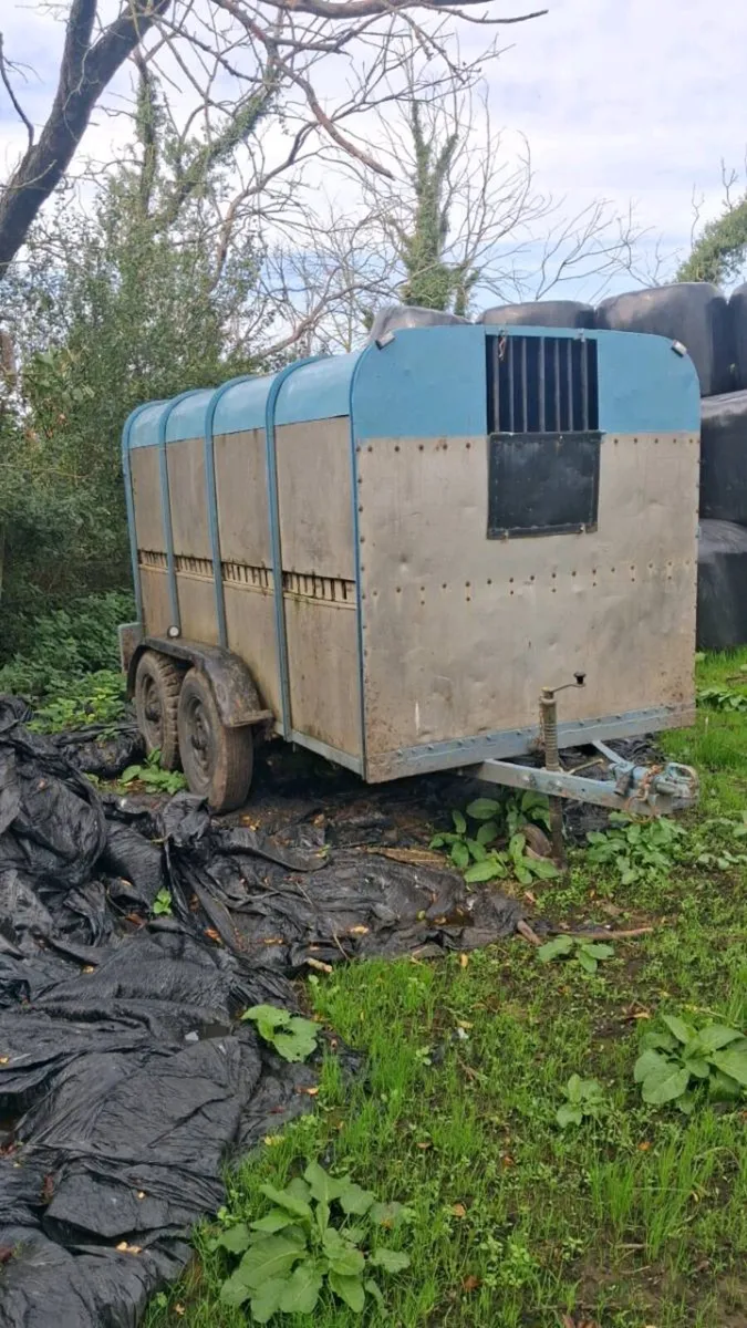 10x5 Cattle Trailer - Image 1