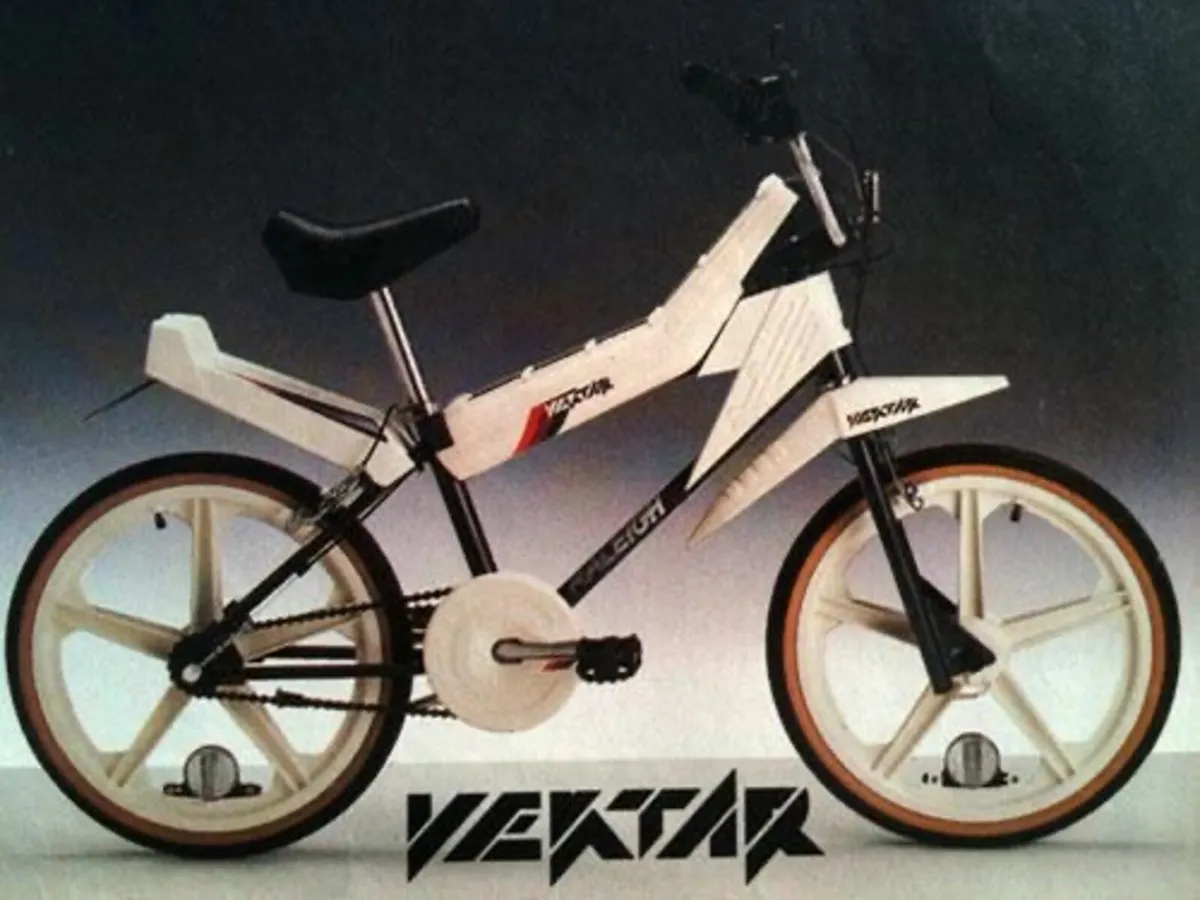 Raleigh Vektar