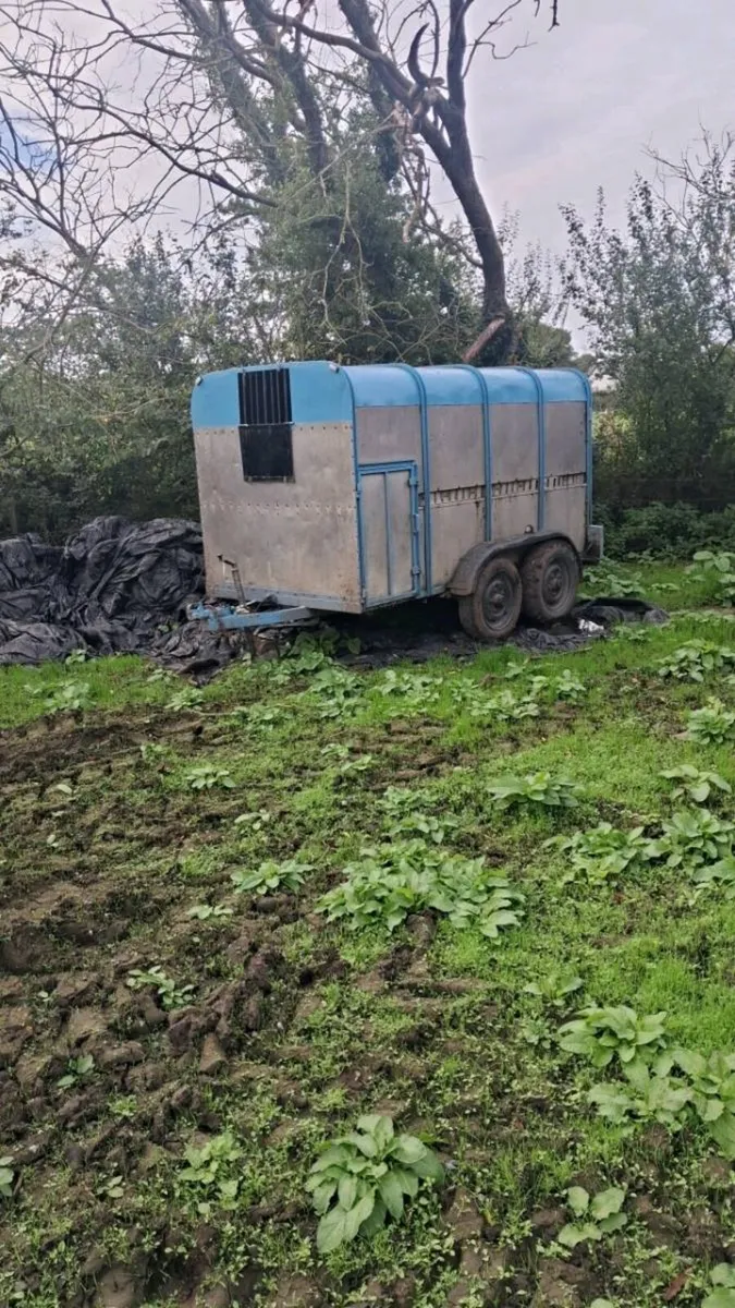 10x5 Cattle Trailer - Image 2