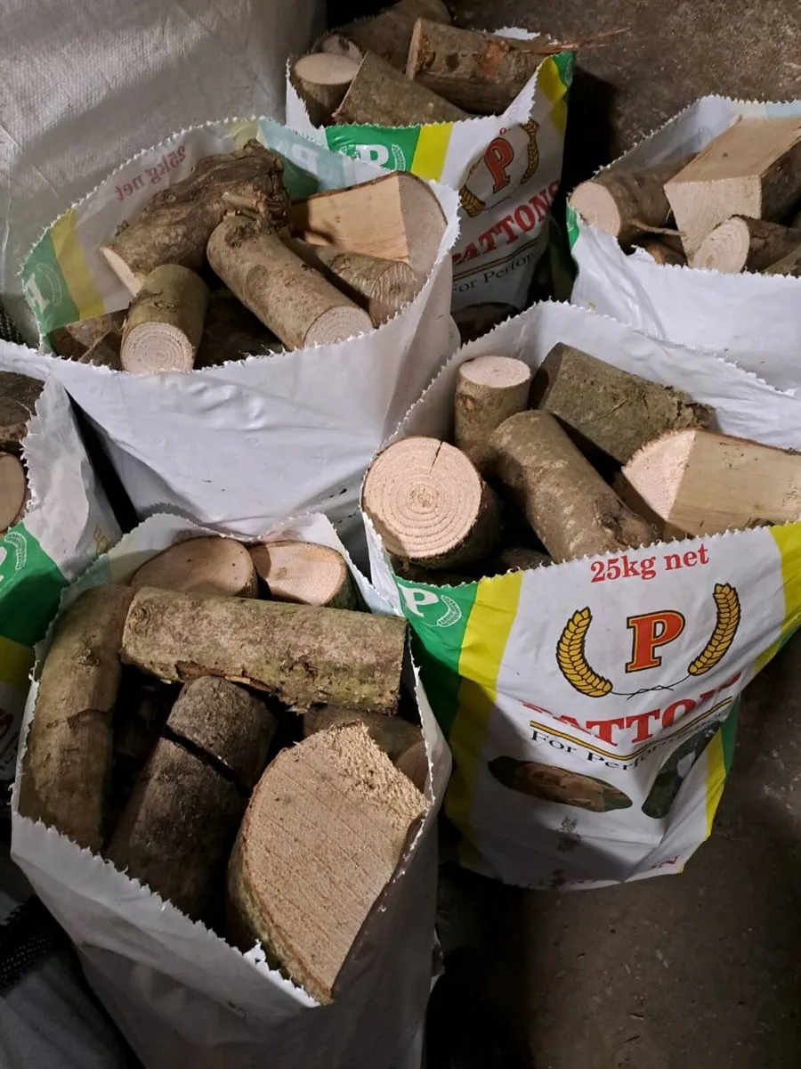 Firewood - Image 1