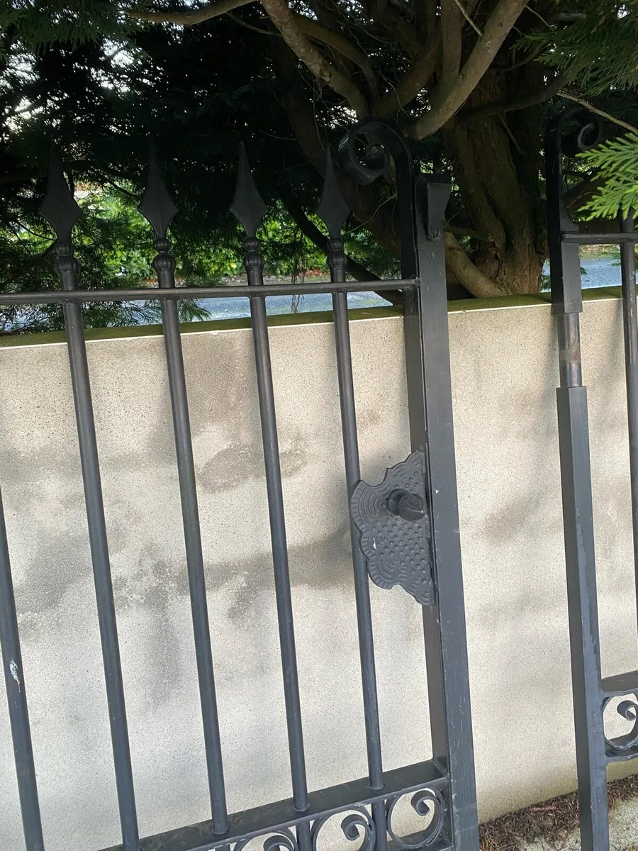 Beautiful Wrought iron gates - Image 4