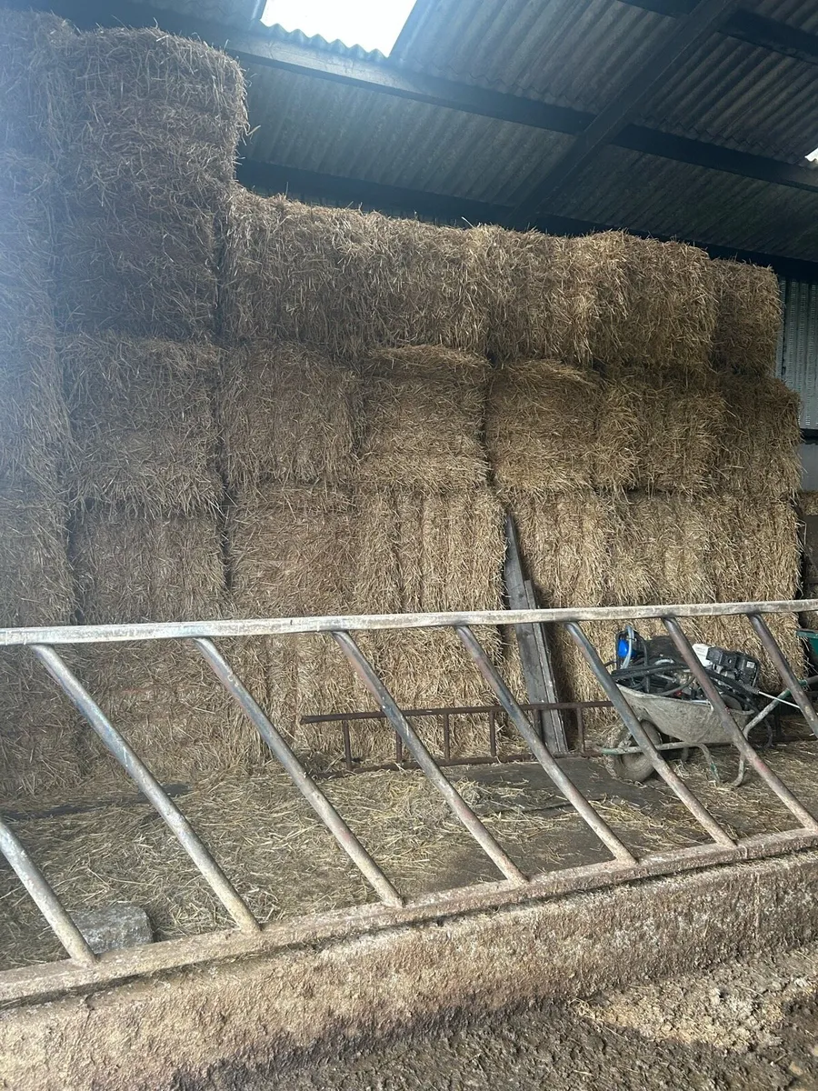 Barley straw