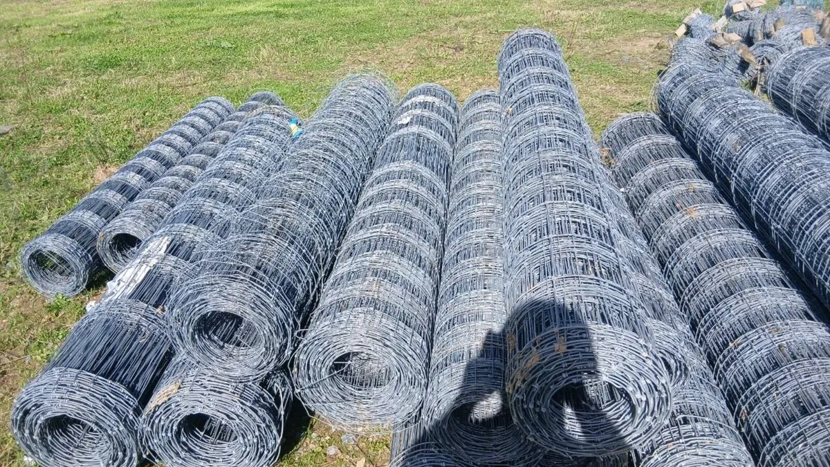 Wire on  sailish , remember the tell wasn't surfac - Image 2