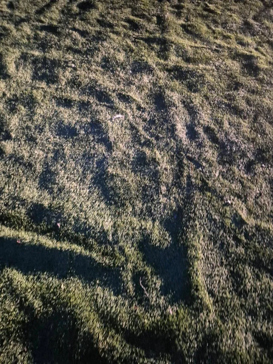 artificial grass - Image 3