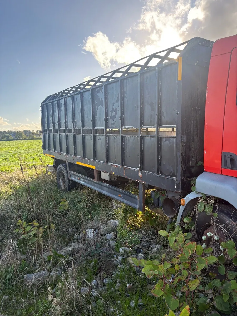 Daf cattle truck breaker or export - Image 3