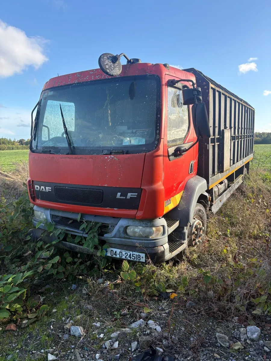 Daf cattle truck breaker or export - Image 1