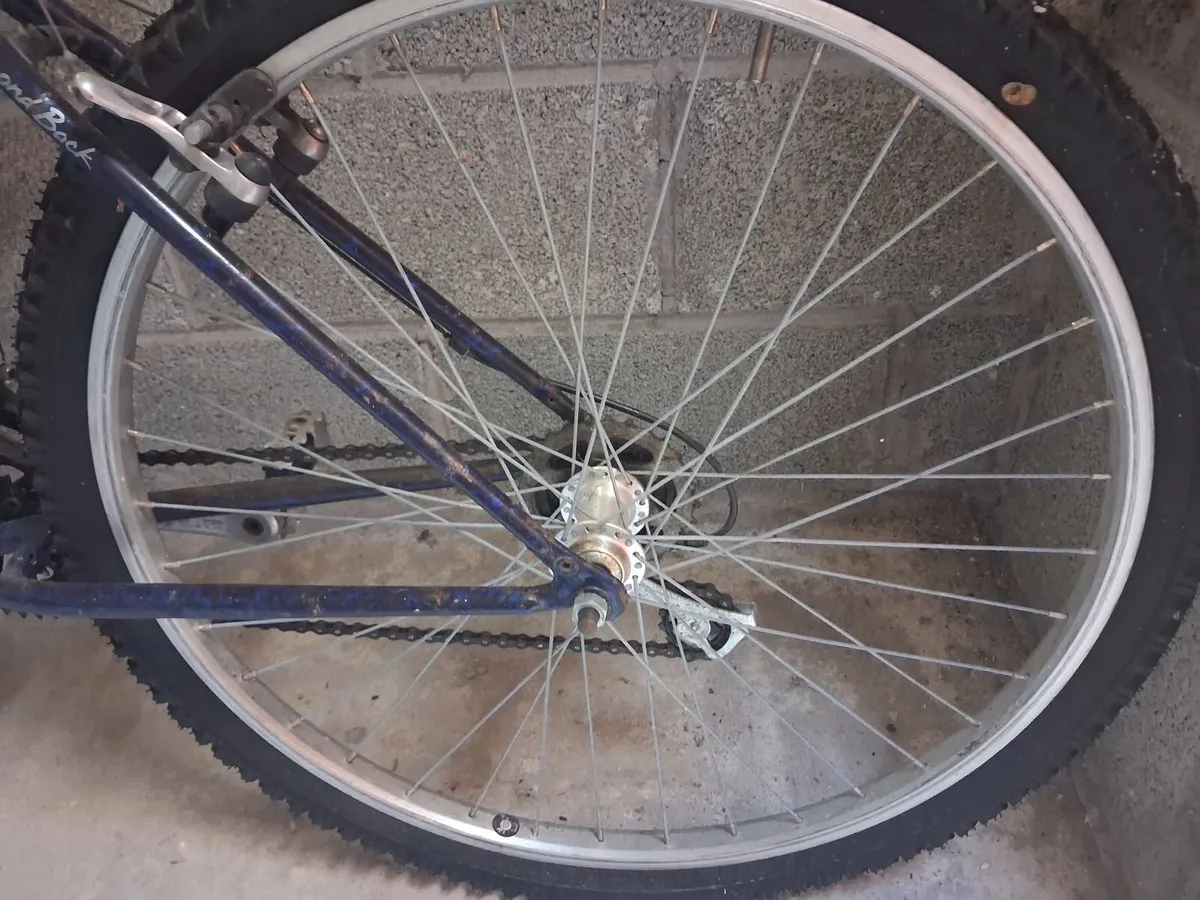Bike - Image 2
