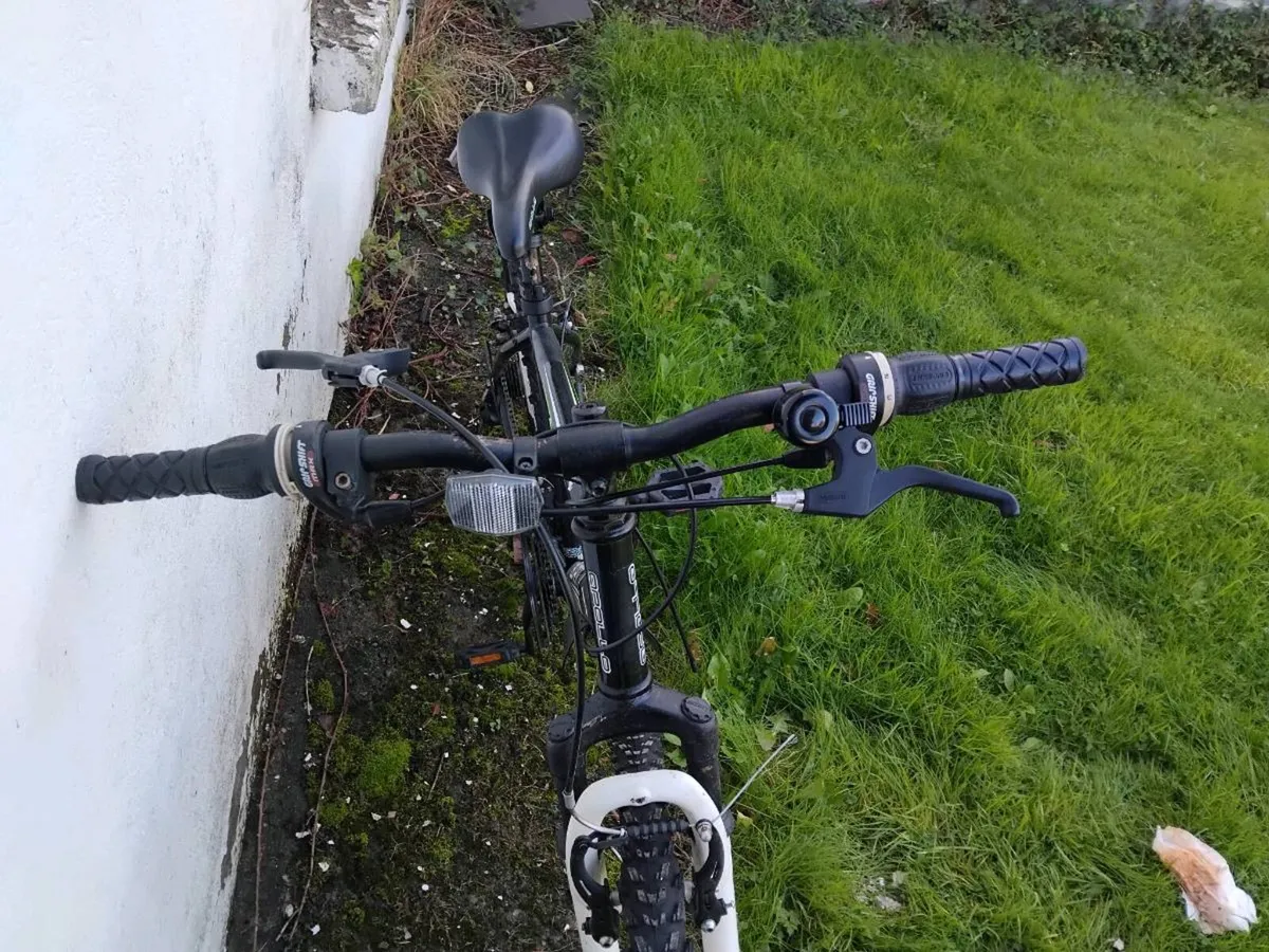 Gents Mountain Bike - Image 2