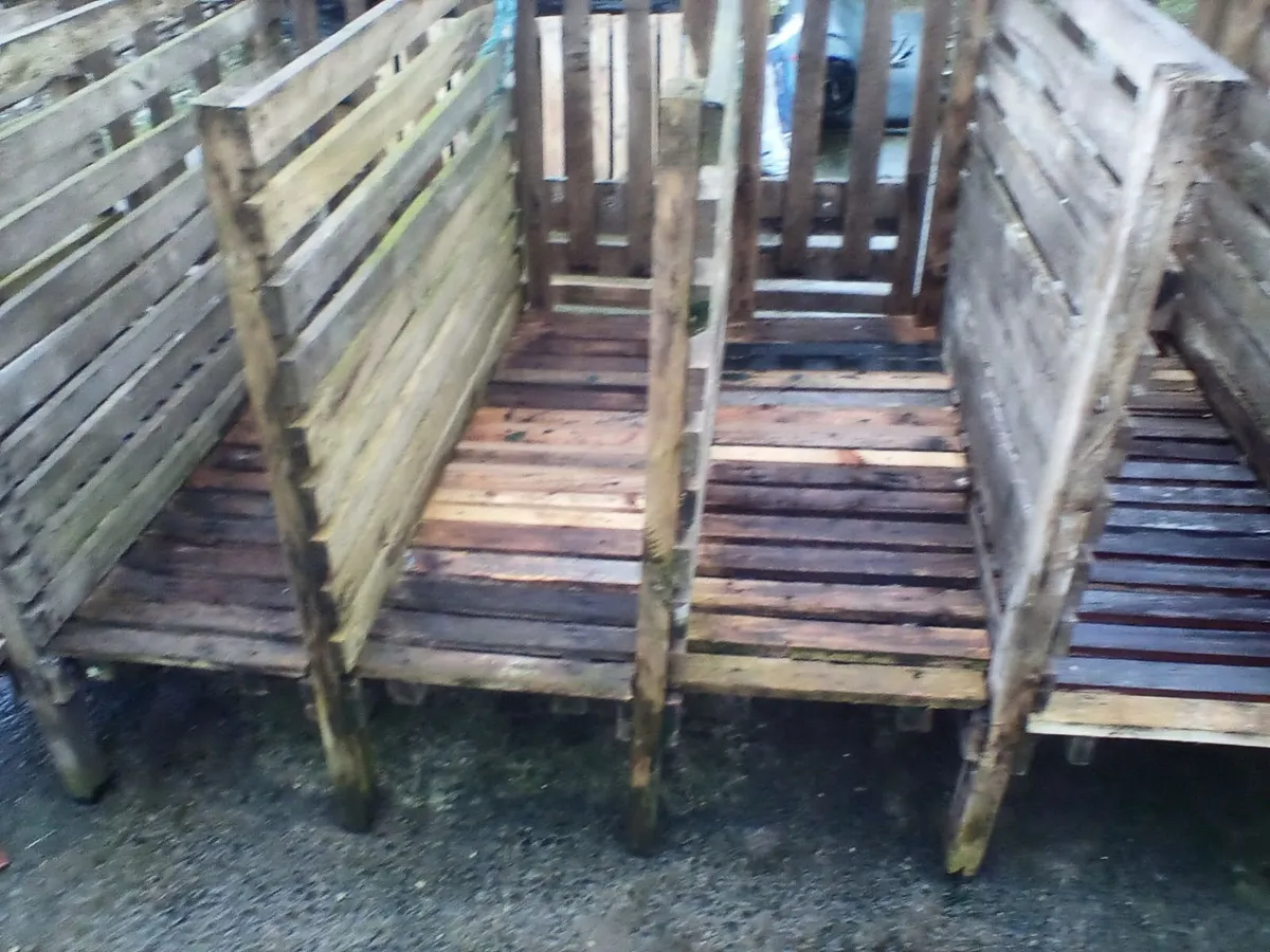 Single calf pens with slats - Image 2