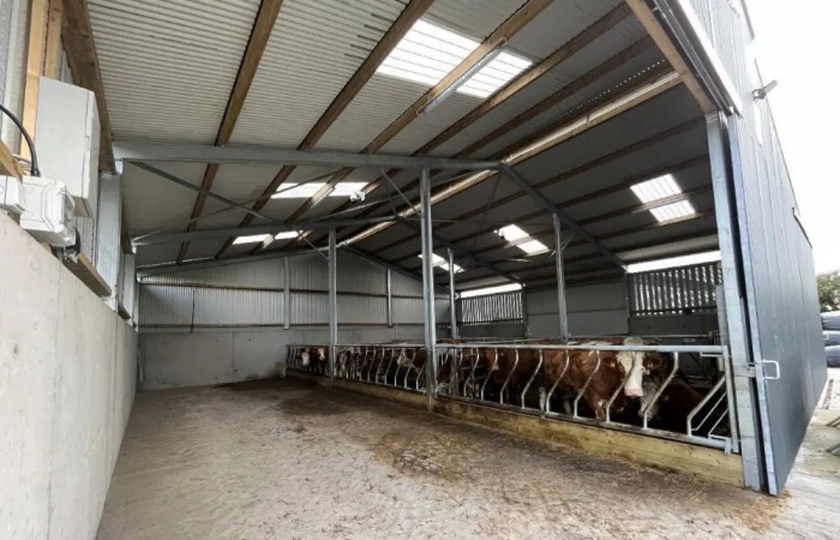Slatted shed wanted