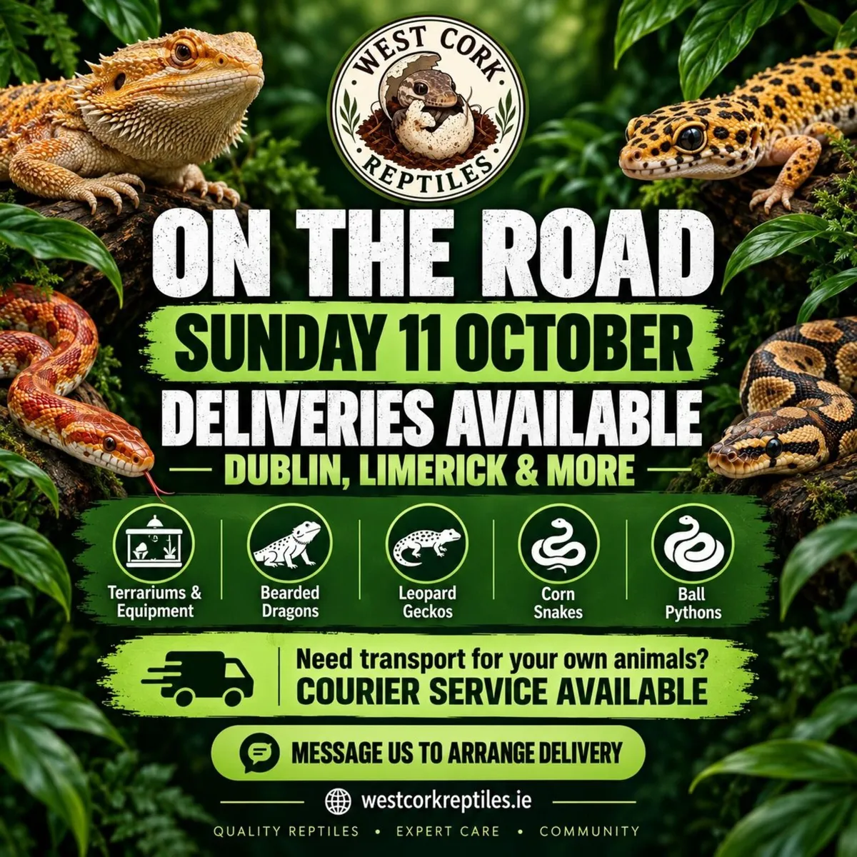 Reptiles - Image 1