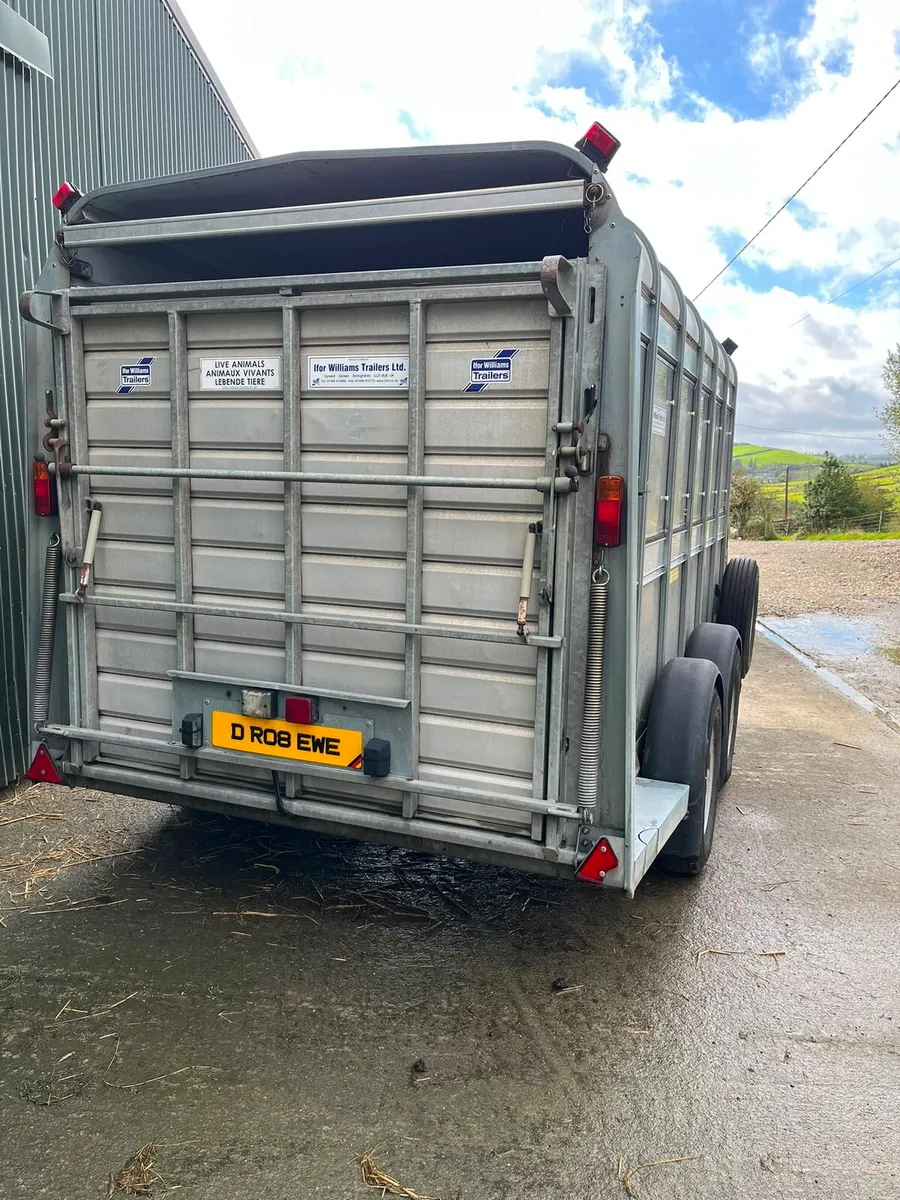 12X5'10 Ifor Williams Livestock Trailer - Image 3