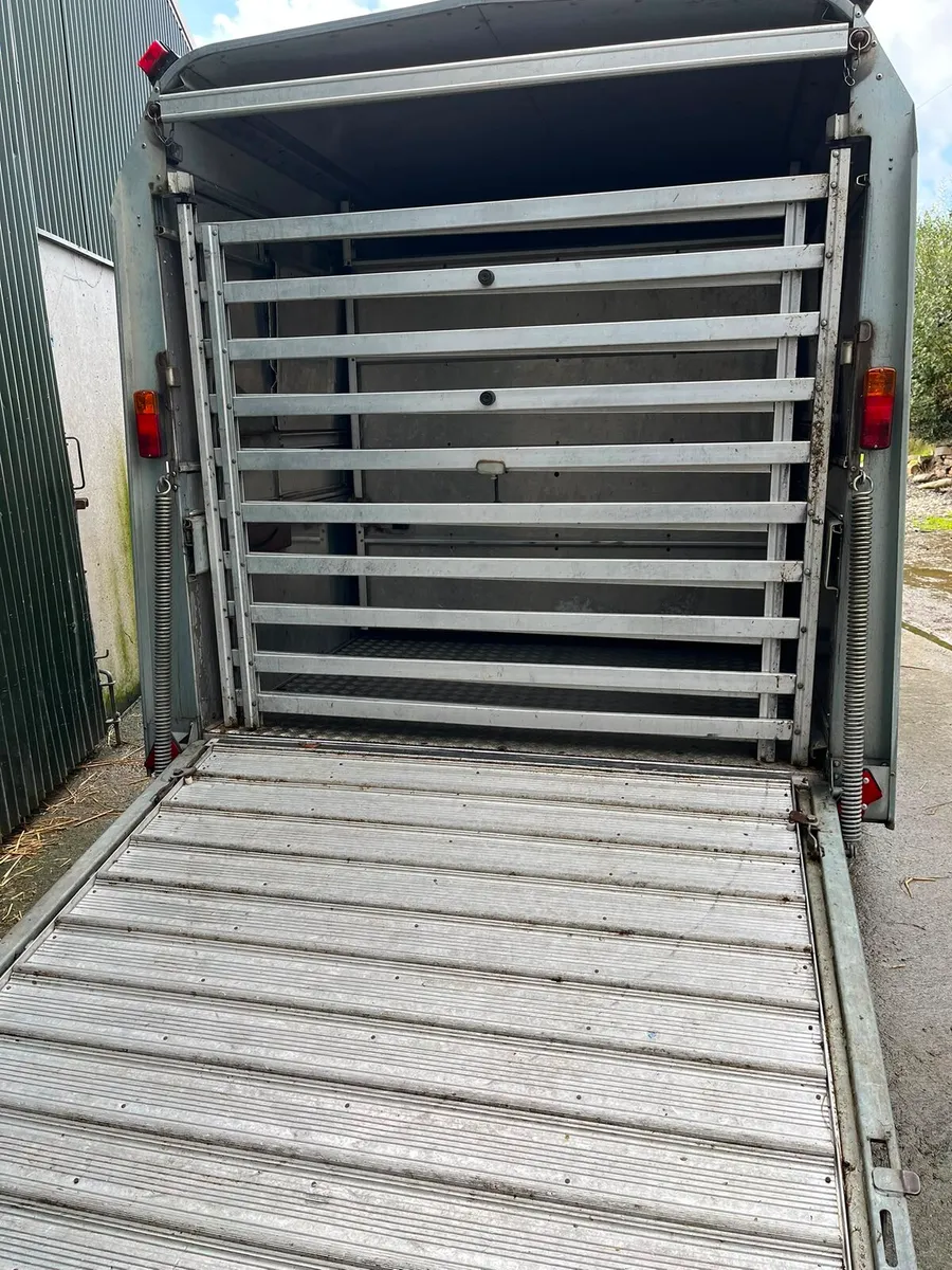 12X5'10 Ifor Williams Livestock Trailer - Image 4