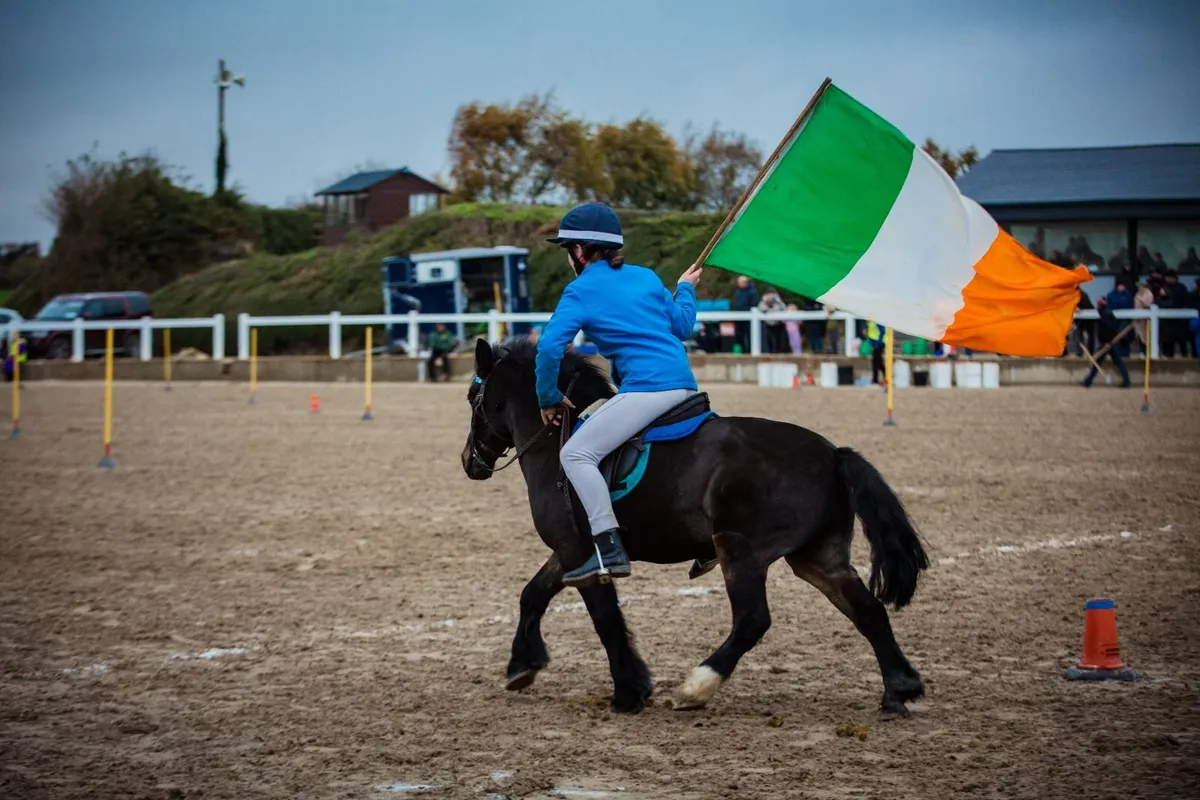 Mounted Games Pony - Image 3