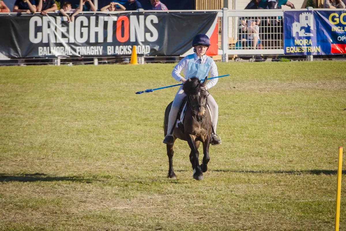 Mounted Games Pony - Image 4