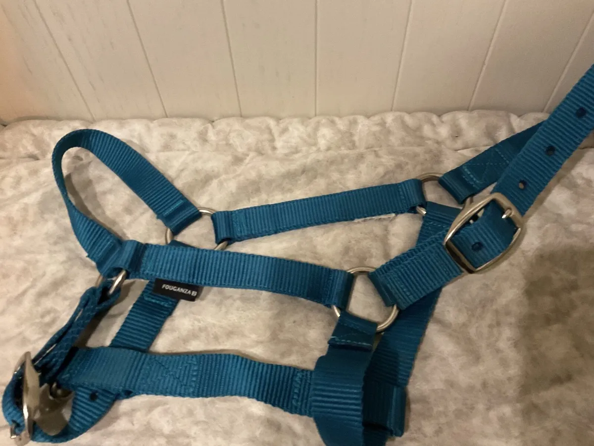 Horse items - Image 3