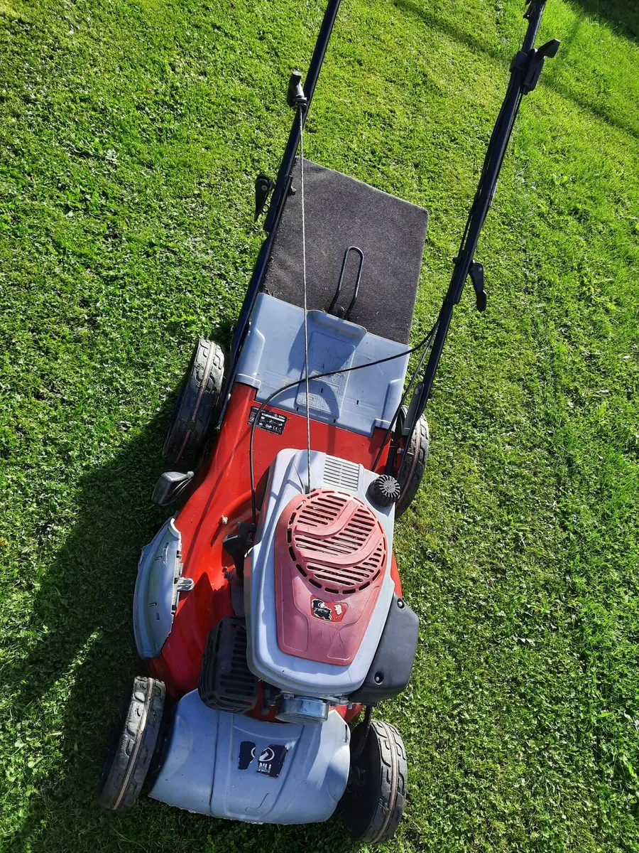 Lawnmower working perfect self driving - Image 3