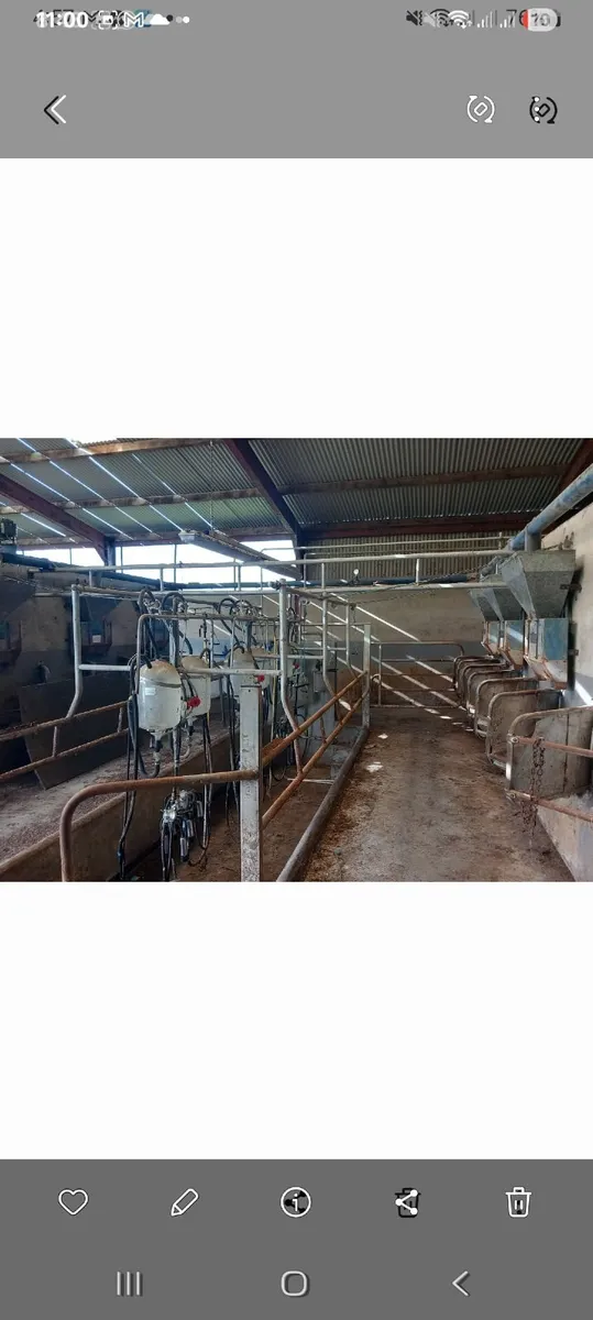 Milking parlour 6 unit  Dairymaster complete - Image 3