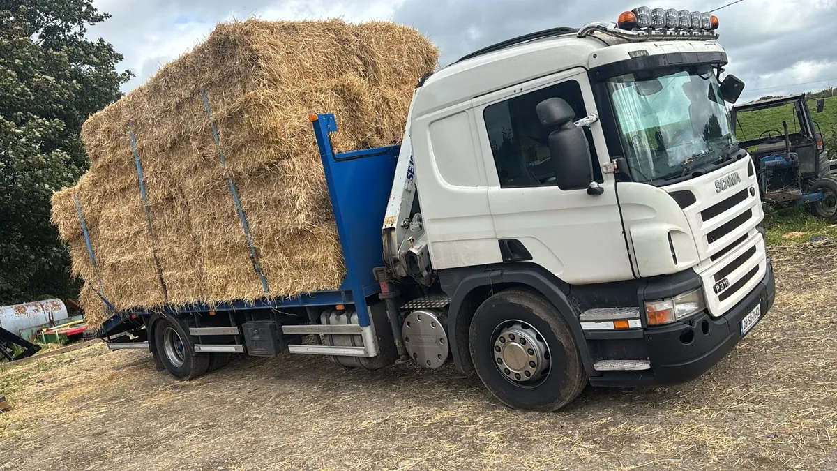 2009 Scania P320 manual crane plant truck - Image 1