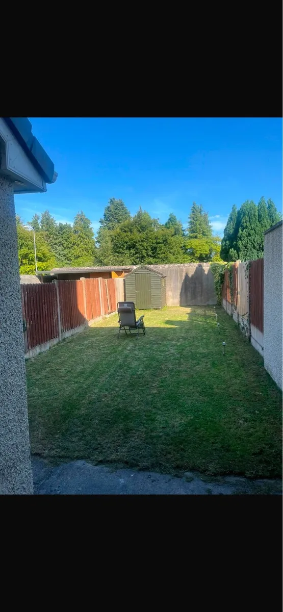 Garden Fencing Renovations - Image 3