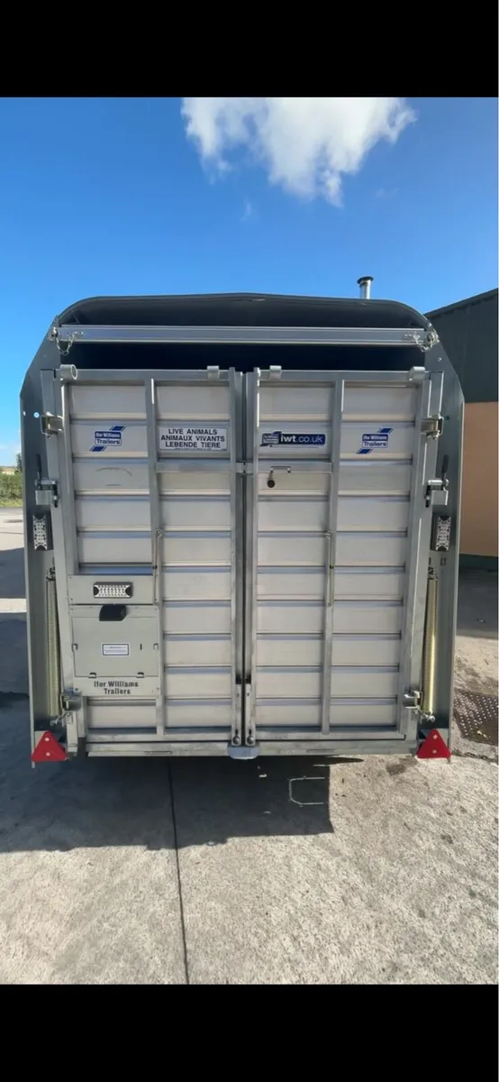 Brand new 2026 Ifor Williams  Cattle box for sale - Image 3