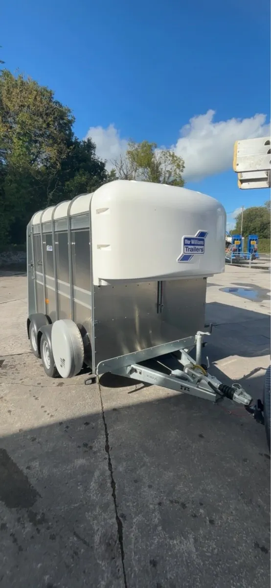 Brand new 2026 Ifor Williams  Cattle box for sale - Image 1