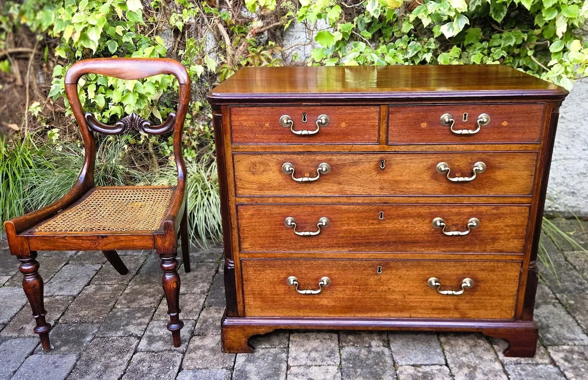Compact Georgian Mahogany Chest- Circa 1830 - Image 2