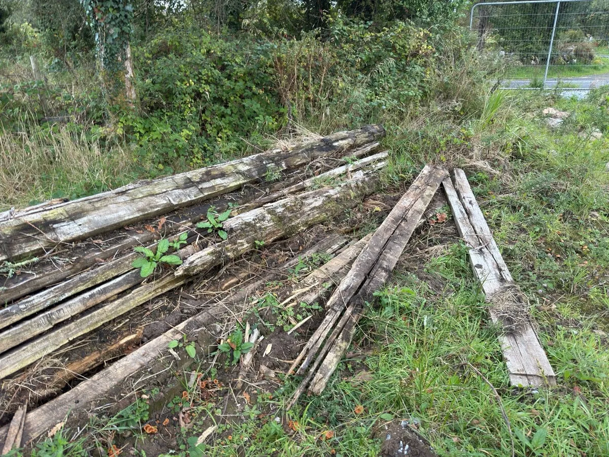 Greenheart wood hardwood beam/timber - Image 4