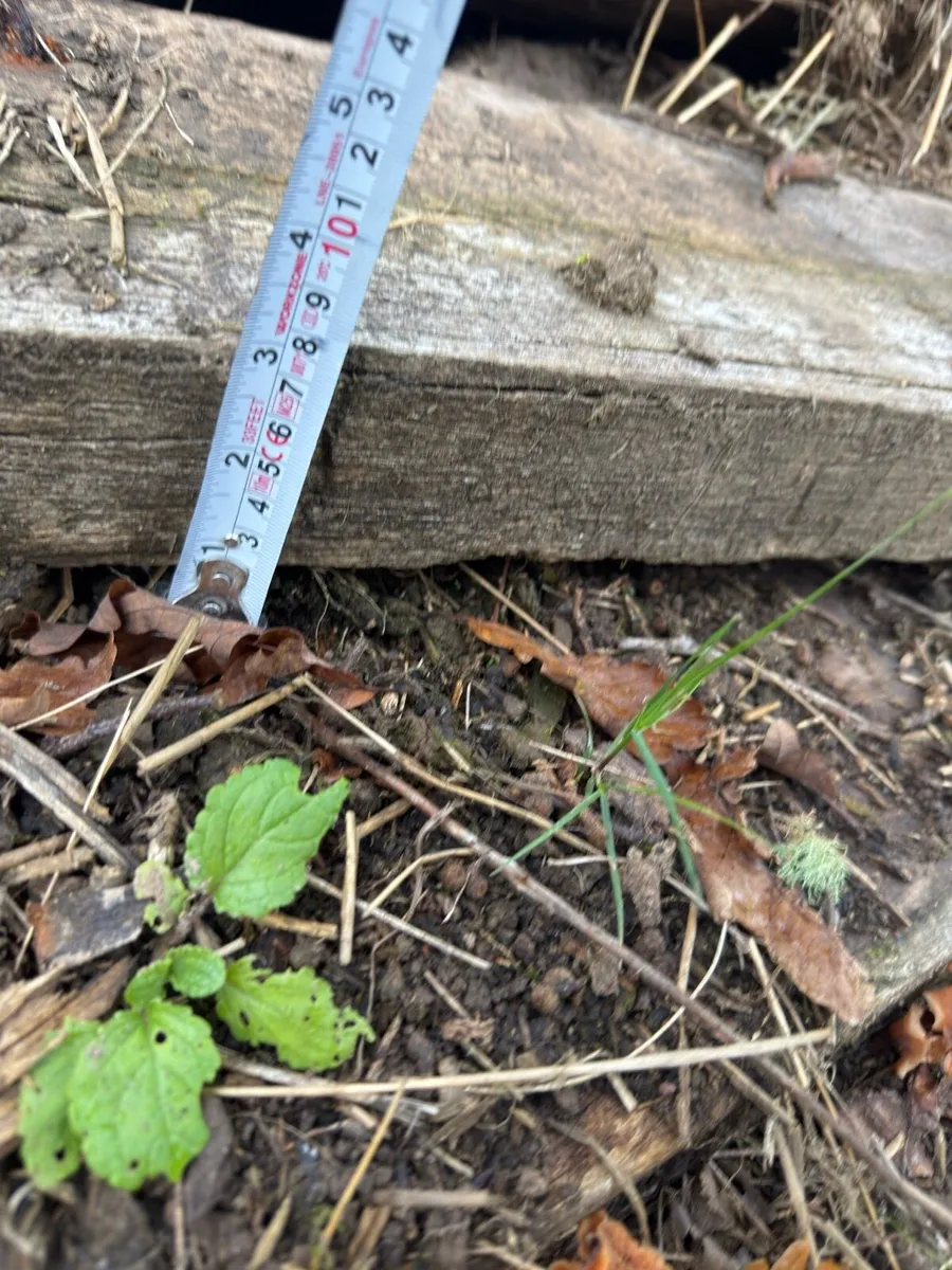 Greenheart wood hardwood beam/timber - Image 2