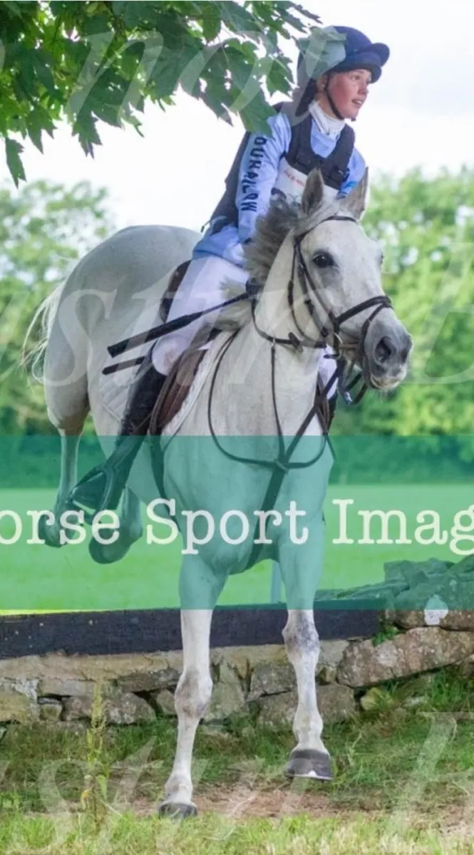 🌟 Super All-Rounder 14.2 🌟 - Image 4