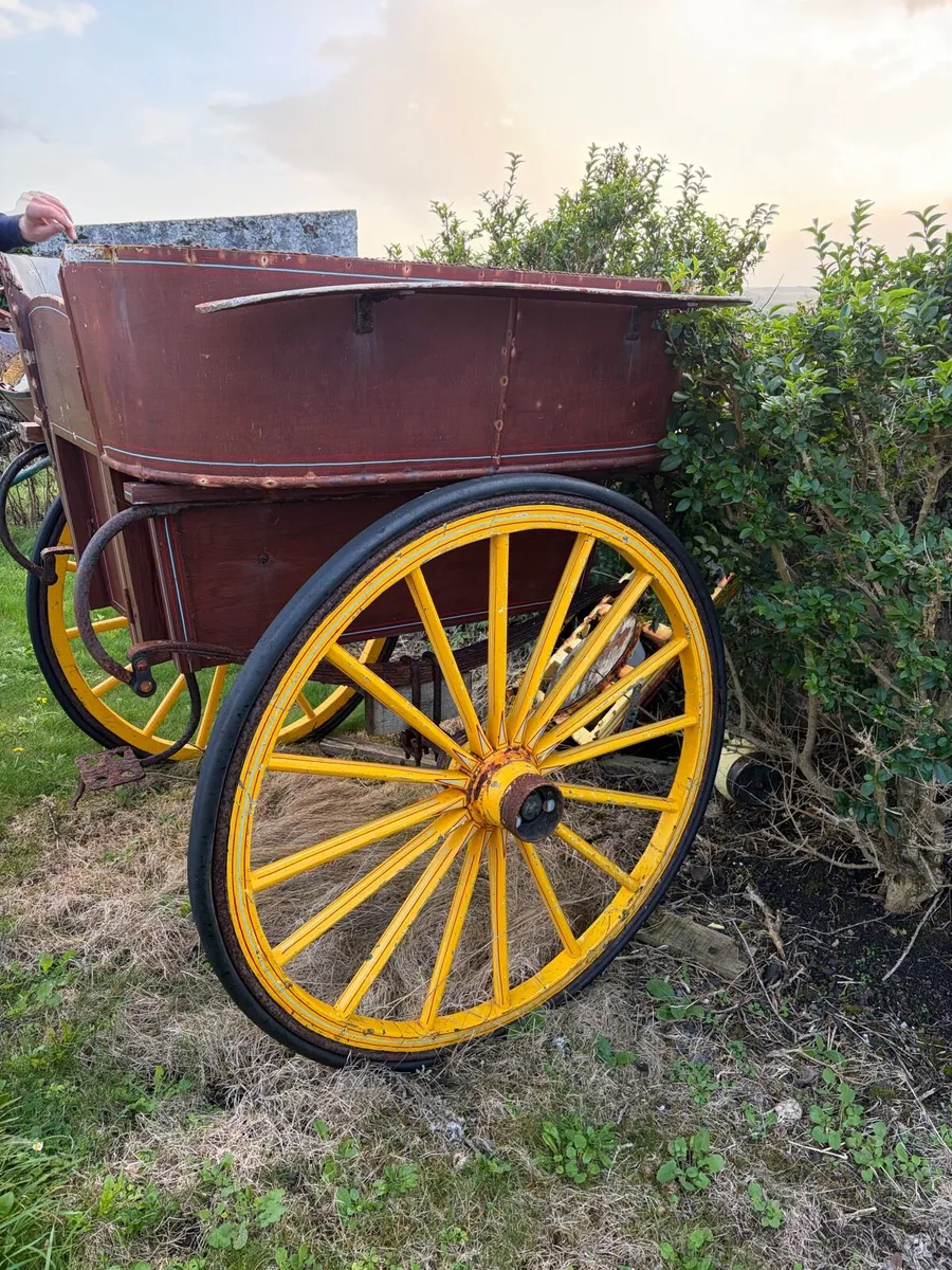 Horse trap - Image 3