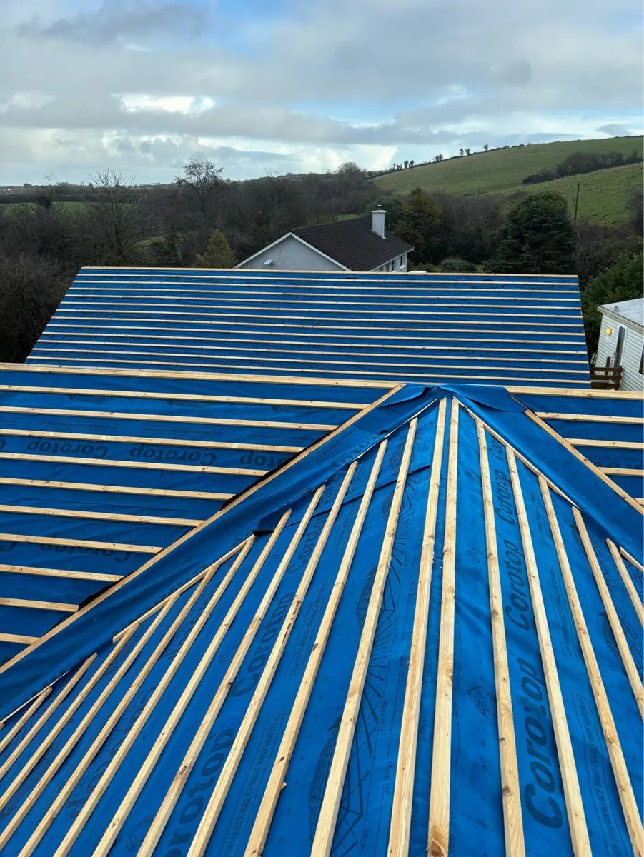Roofing and renovations - Image 3