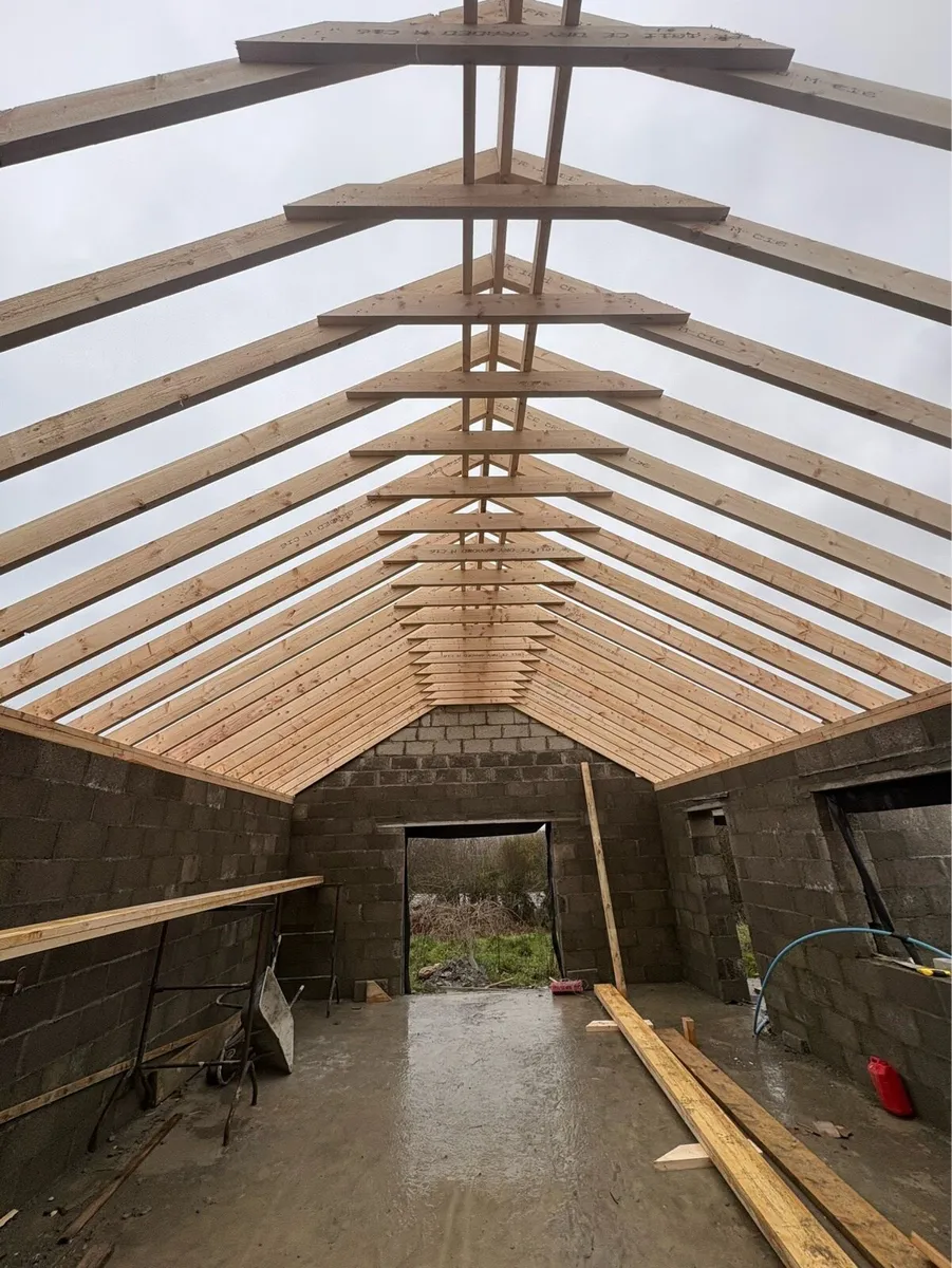 Roofing and renovations - Image 1