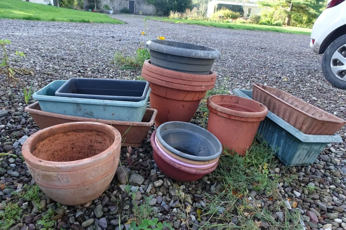 flower pots +containers