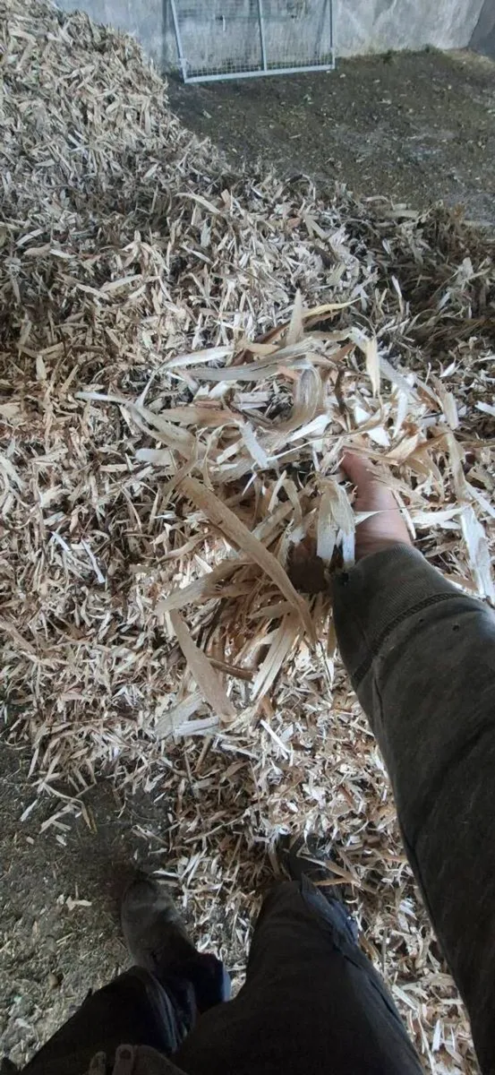 Cattle bedding - Image 1