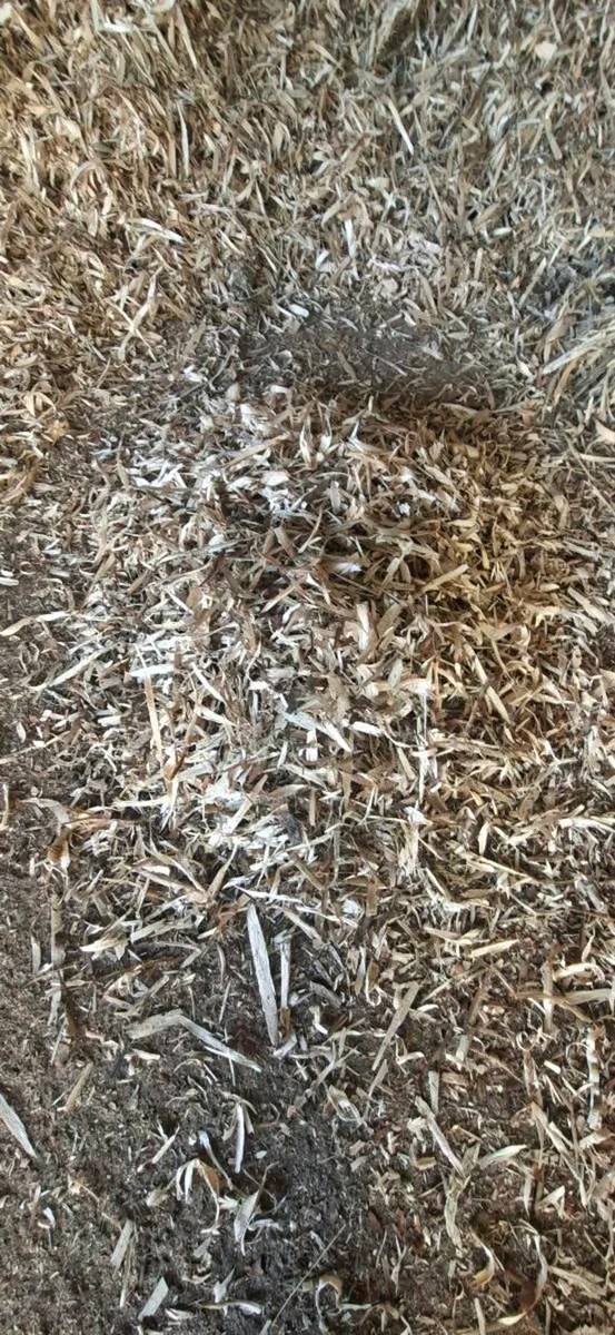 Cattle bedding - Image 3