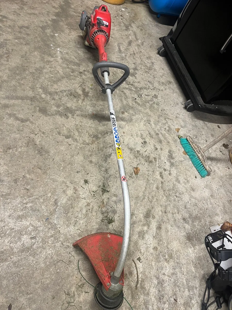Strimmer - Image 1