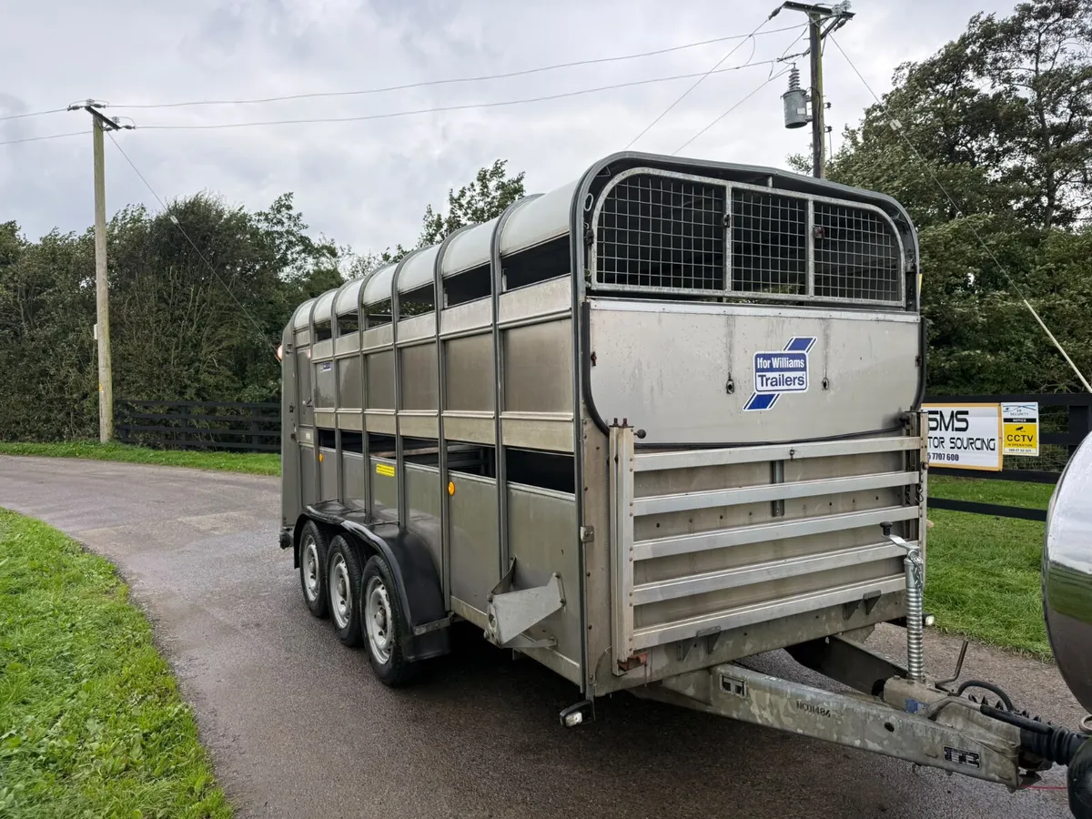 2024 Ifor Williams Tri Axle With Decks**** - Image 1