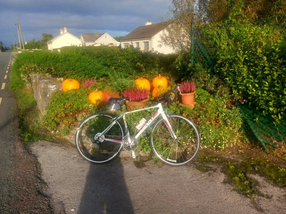ROAD BIKE - Image 1