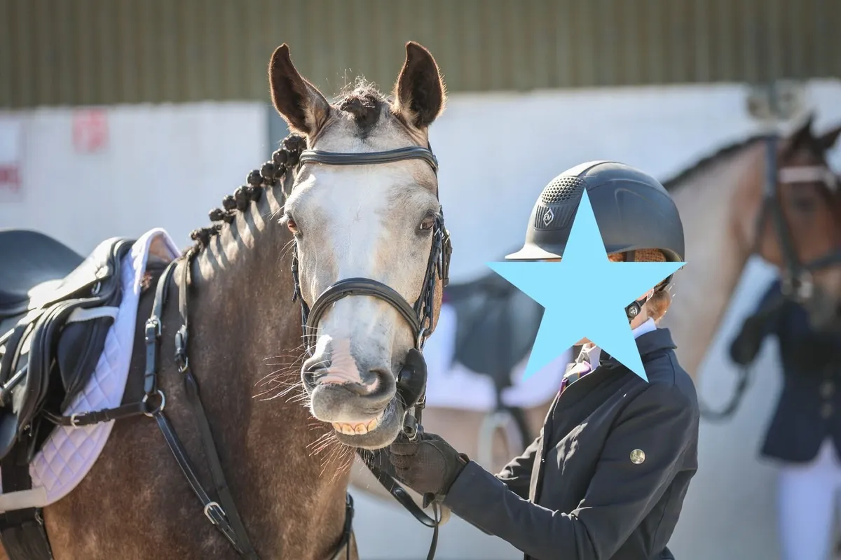 Class 1 Connemara 13.2 Competition Pony - Image 3