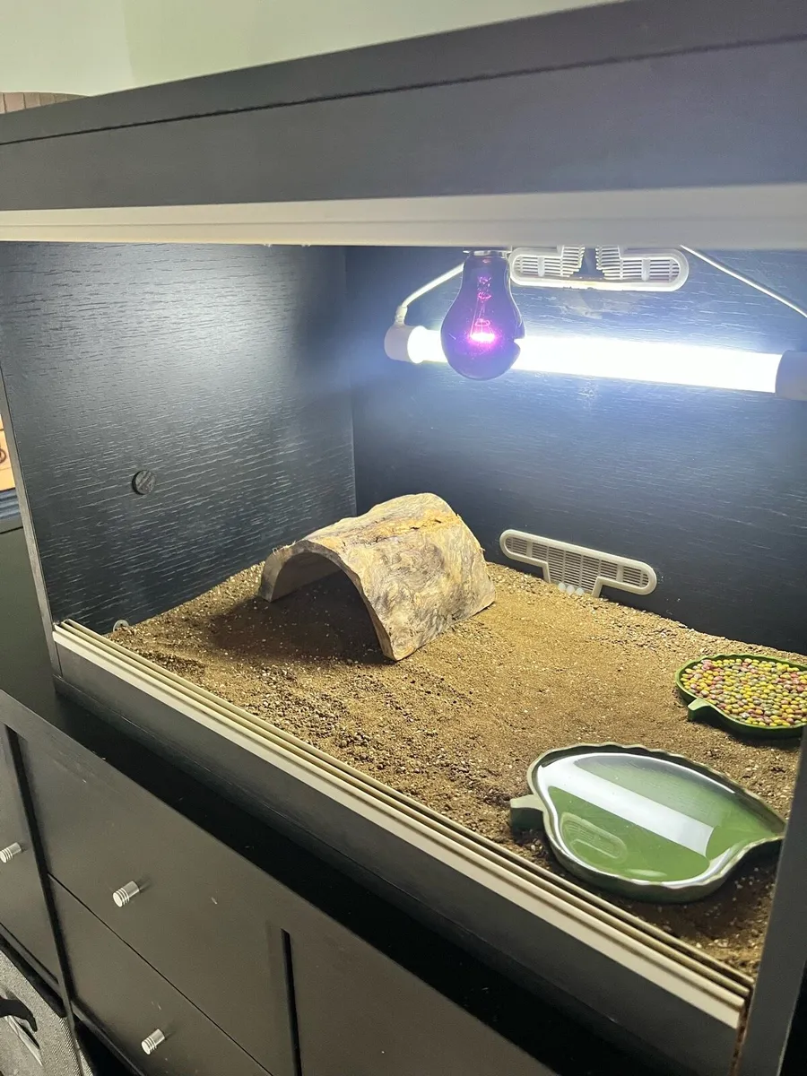Vivarium - Image 2