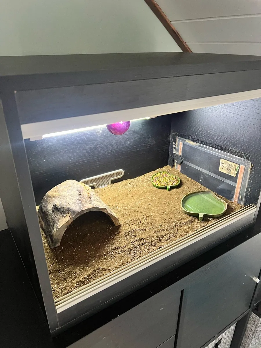 Vivarium - Image 3