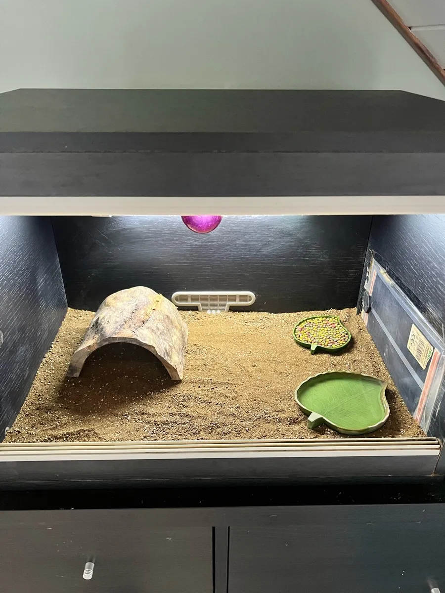 Vivarium - Image 1