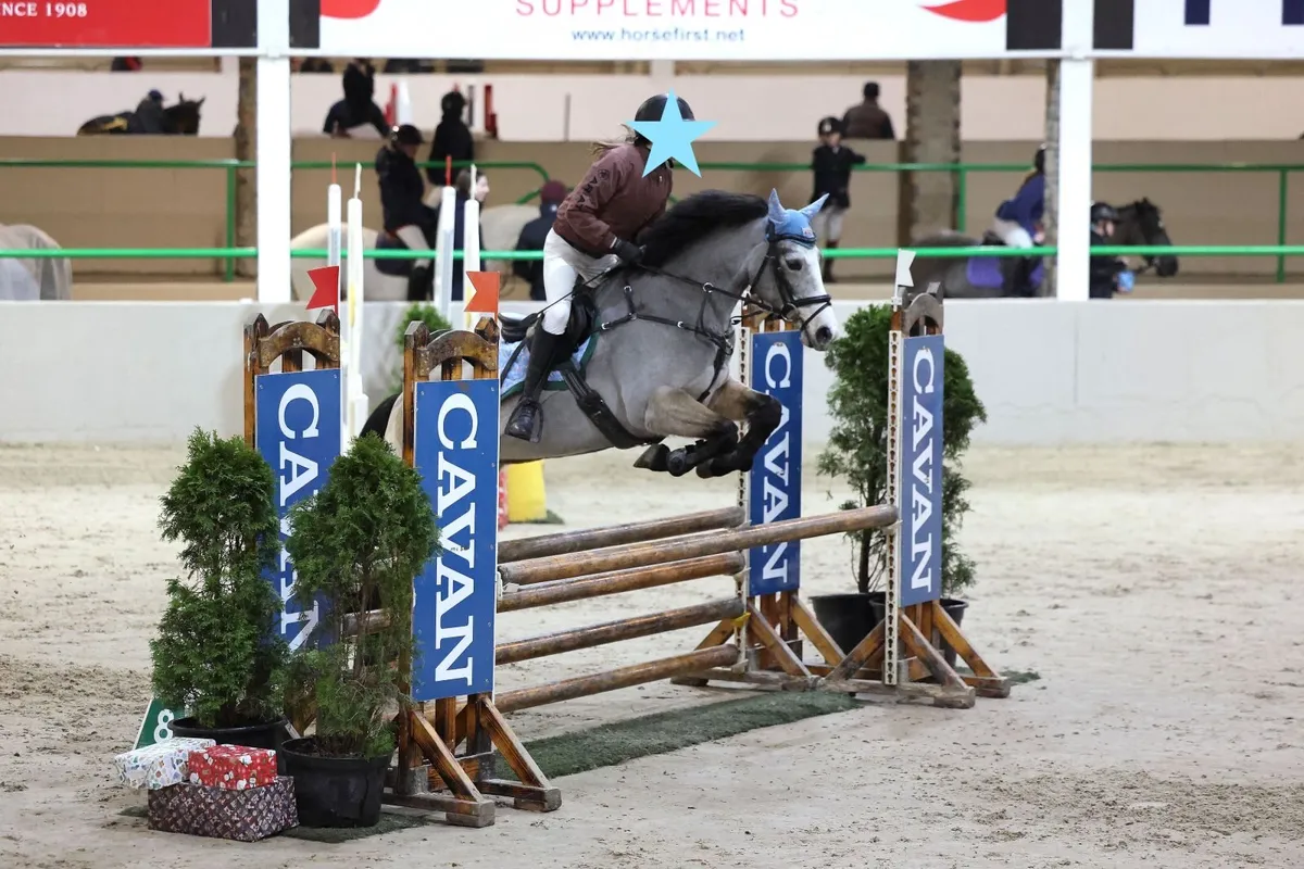Class 1 Connemara 13.2 Competition Pony - Image 1