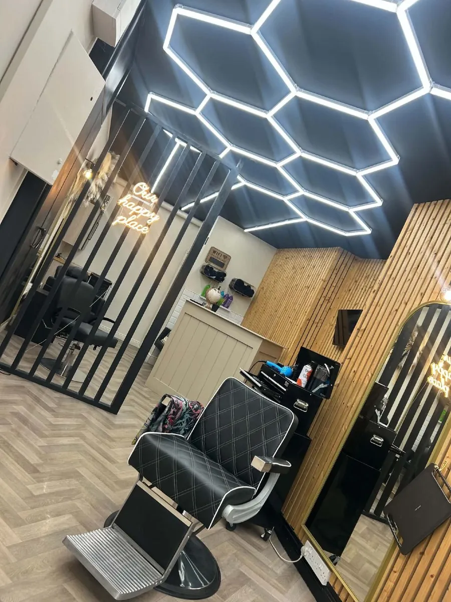 Renting a barber chair - Image 2