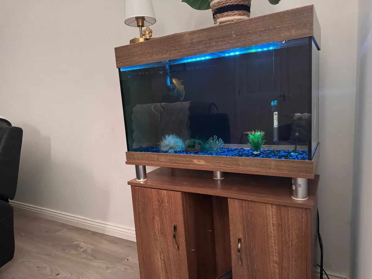 Aquarium - Image 1