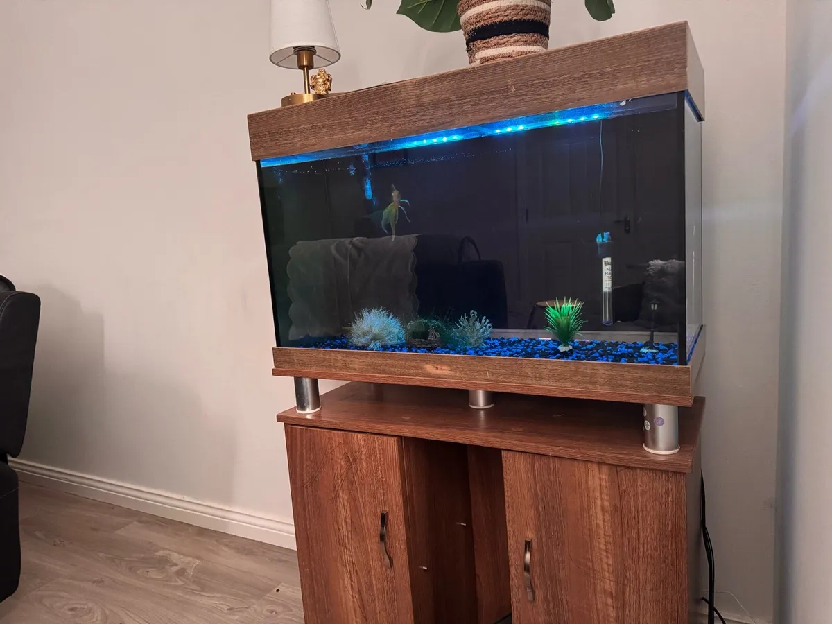 Aquarium - Image 2
