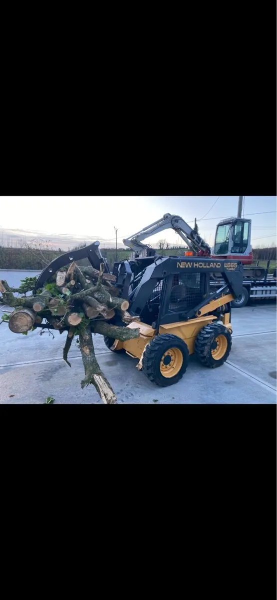 New Holland skidsteer - Image 1