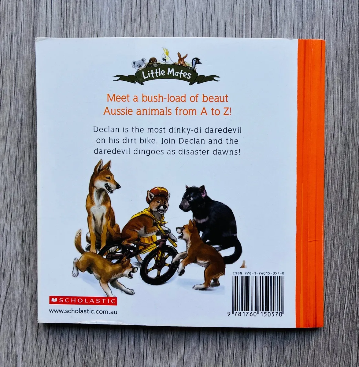 Little Mates: Daredevil Dingo (Book #4) by Susanna - Image 2
